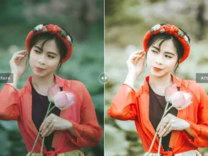 hibiscus mobile desktop lightroom presets 4