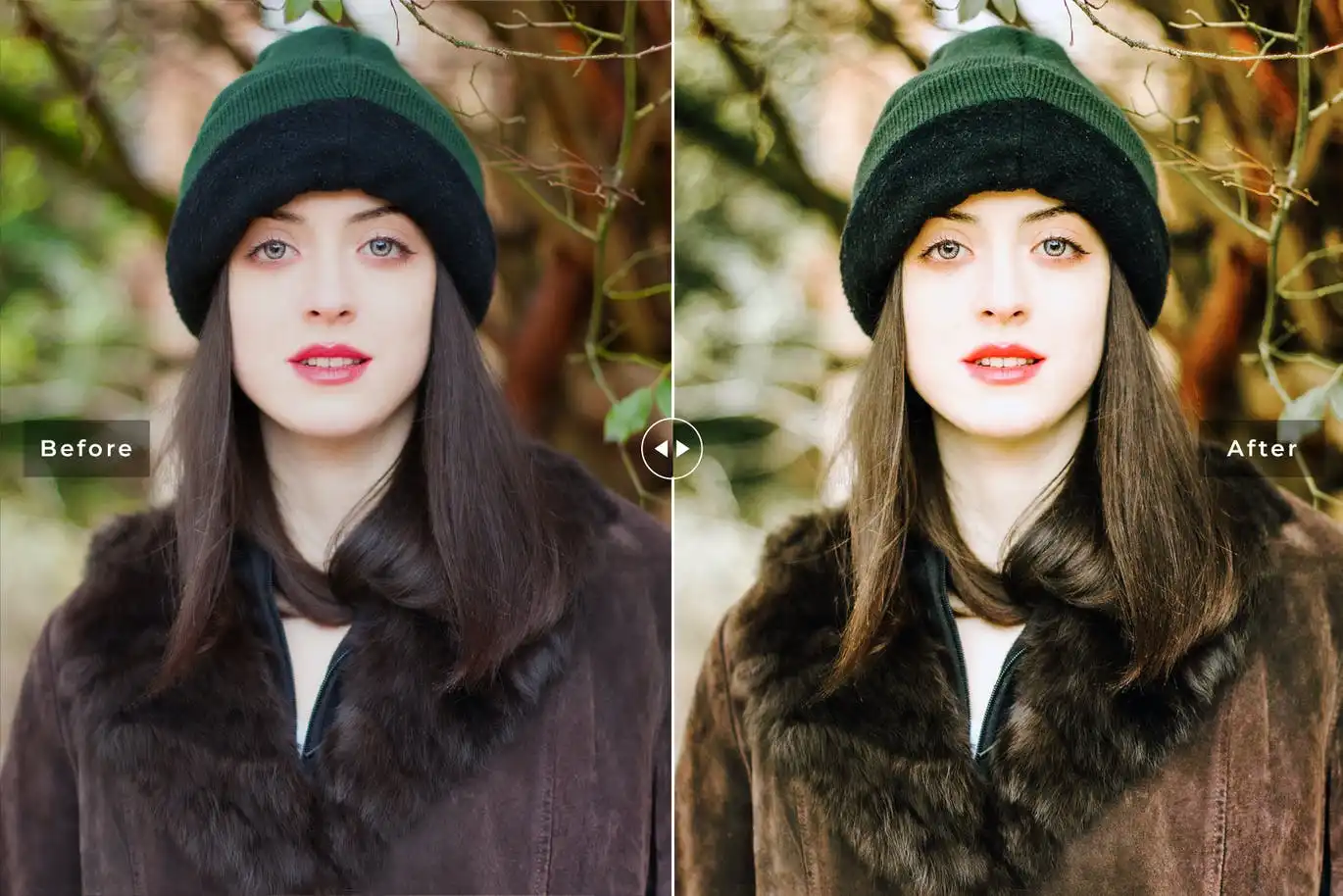 Hiptage Mobile & Desktop Lightroom Presets