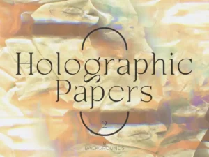 holographic papers vol