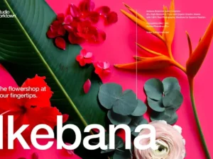 ikebana floral and botanical asset collection