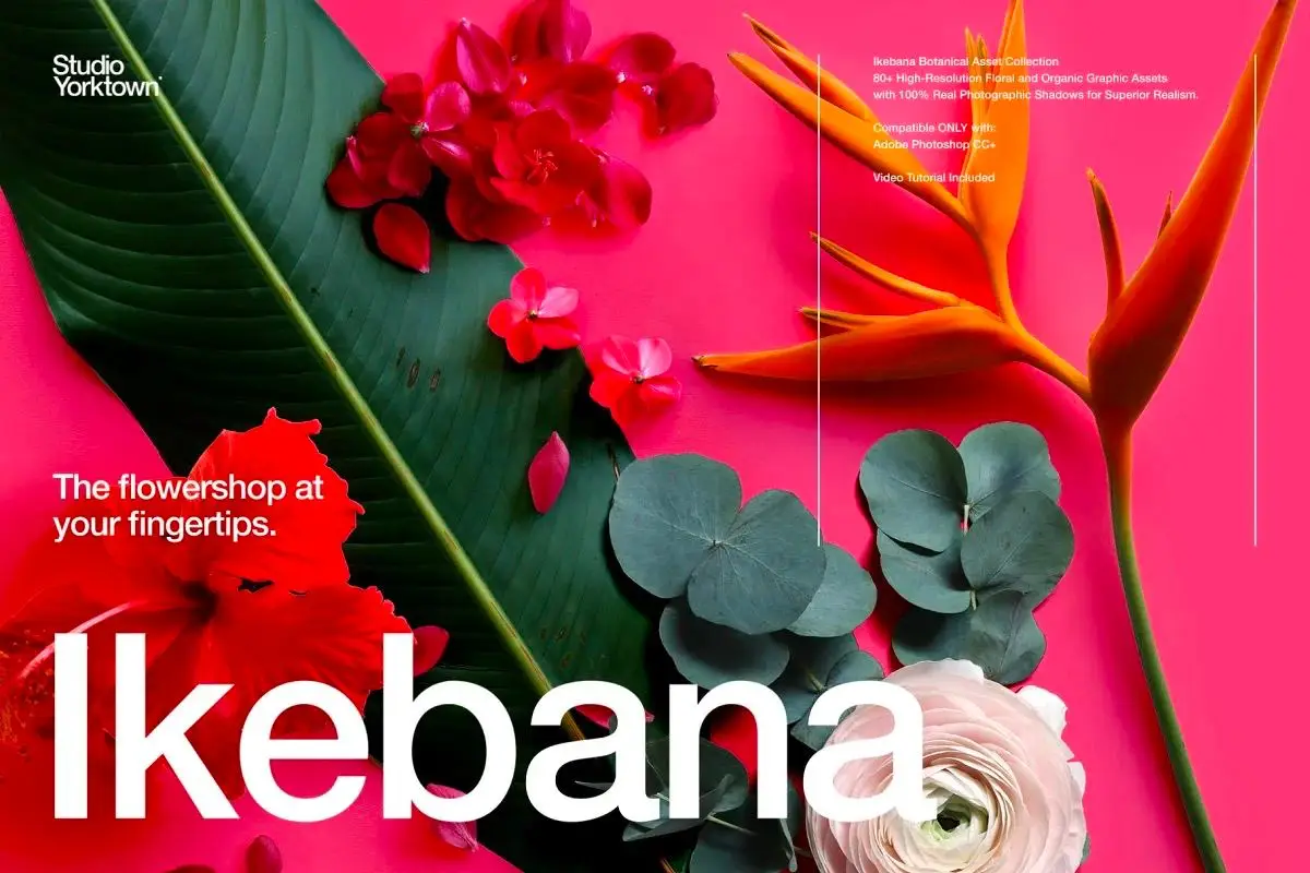 Ikebana Botanical Asset Collection