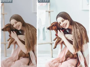 insta filter family photoshop lightroom presets 2