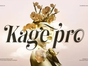 kage pro variable font 2