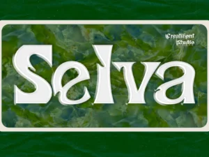 kataleya display font 9jzg3cf 12