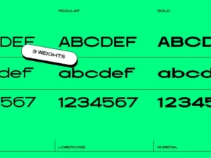 kica display font family 2