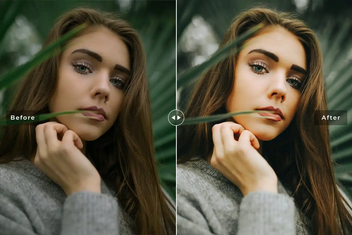 Kombu Green Mobile & Desktop Lightroom Presets
