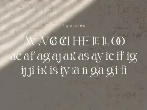 la obrige serif typeface 2