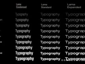 lama sans typeface 2