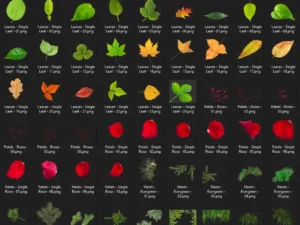 leaf petal overlays 2