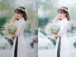 lilium mobile desktop lightroom presets