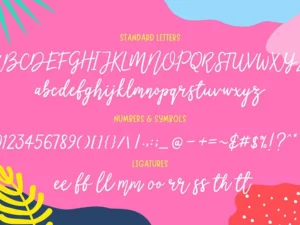 littlemissy a modern script font 2