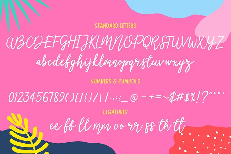 Littlemissy A Modern Script Font