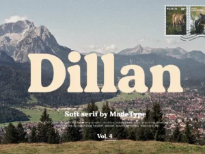 made dillan