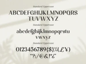 magistic foundation font 4