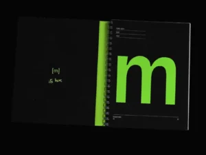 make sans a display first typeface 4