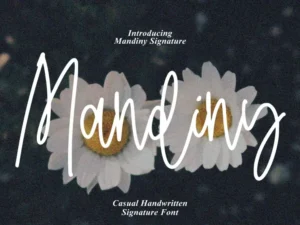 mandiny casual handwritten nmzr2c
