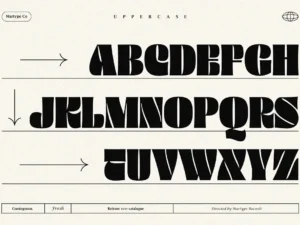 martype co thick thinks display font 4