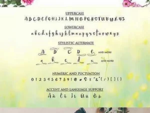 mellisa calligraphy font