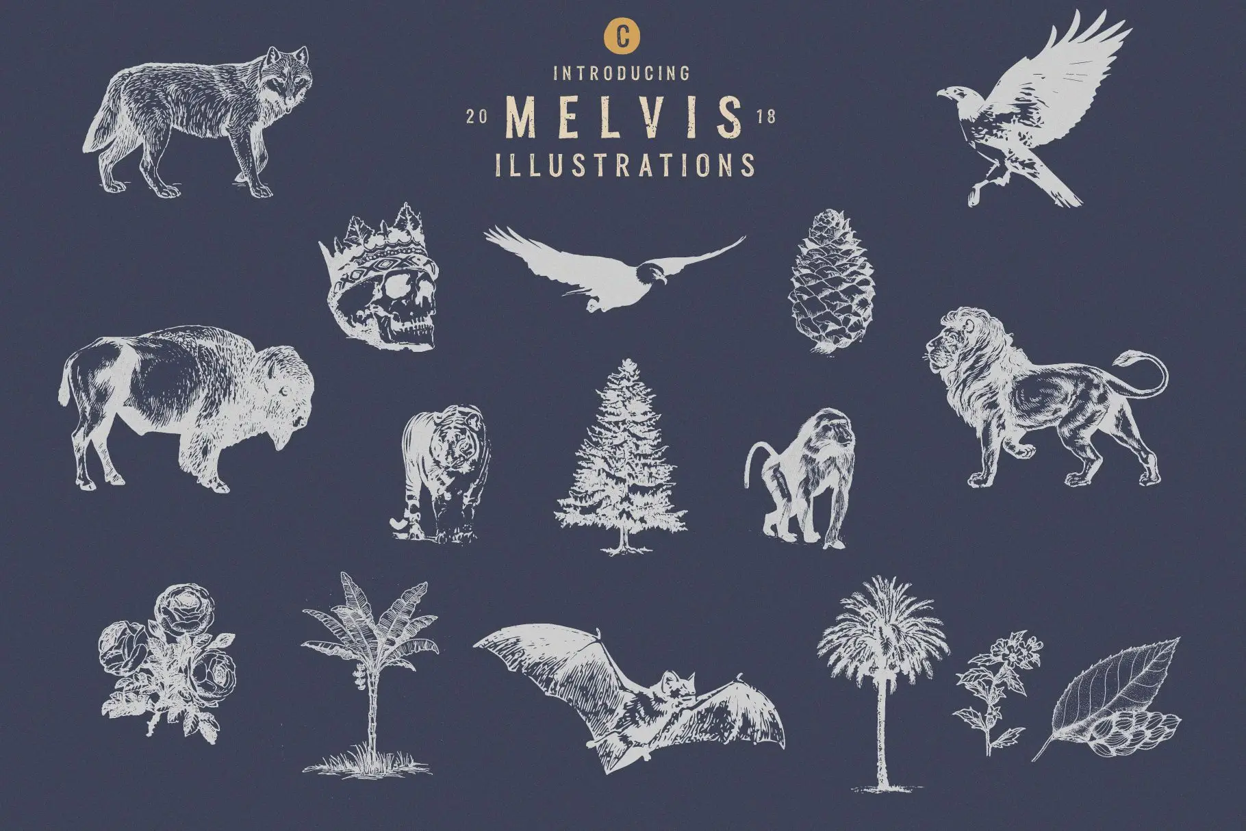 Melvis 3 melvis 6