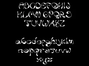 milena leimig ladi typeface 2