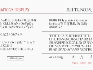 mitoga display 3