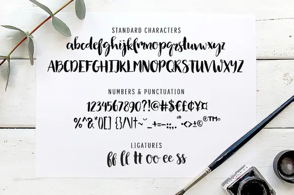 Modern Brush Font Olive Sky