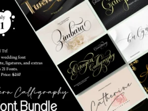 modern calligraphy font bundle