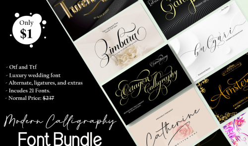 Modern Calligraphy Font Bundle