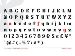 modern font 3