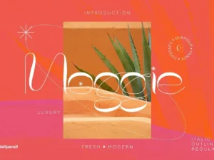 moggie fresh modern typeface