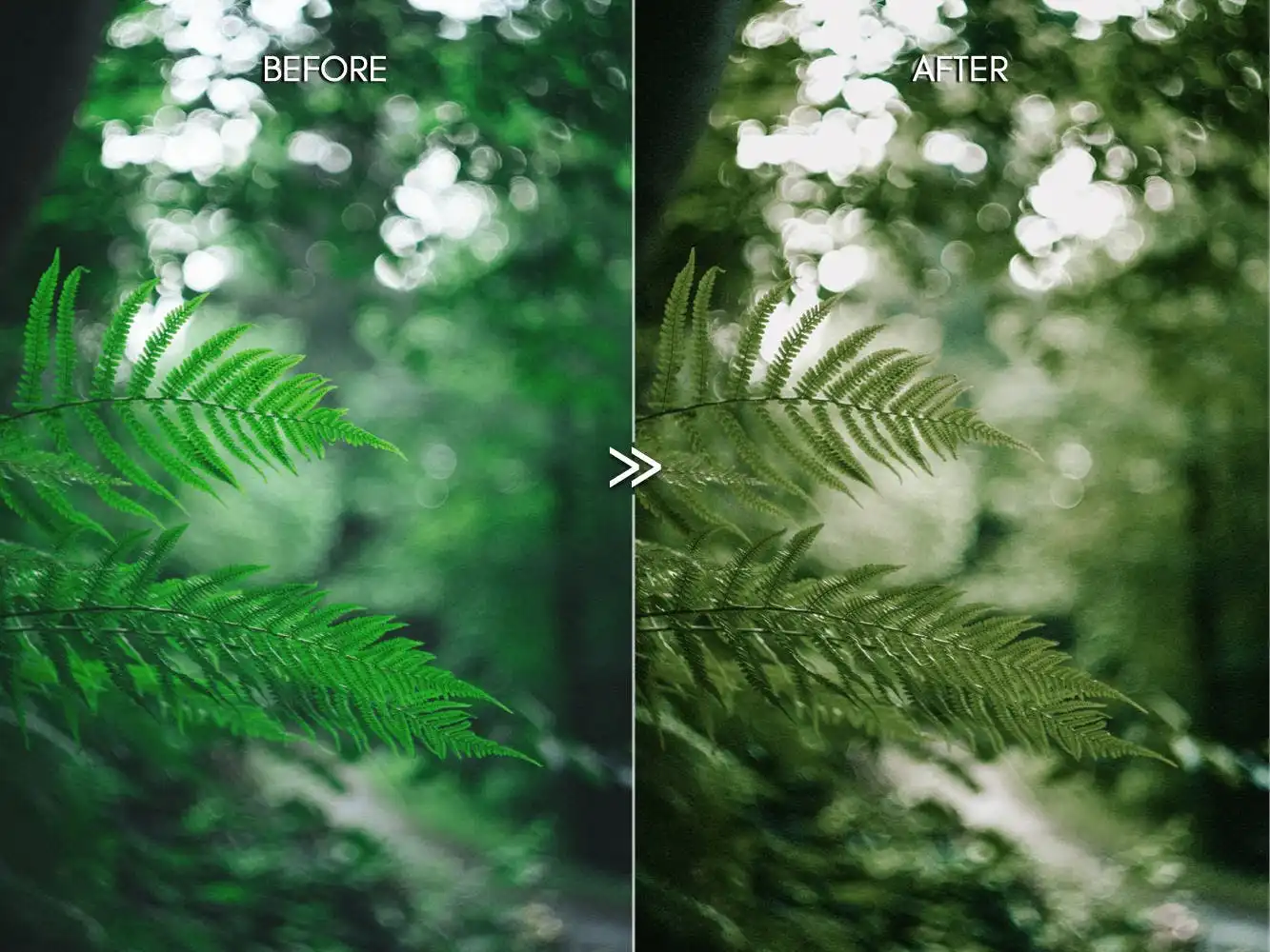 Moody Rich Greens Outdoor Travel Lightroom Presets 8 moody rich greens outdoor travel lightroom presets 5