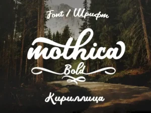 mothica bold01