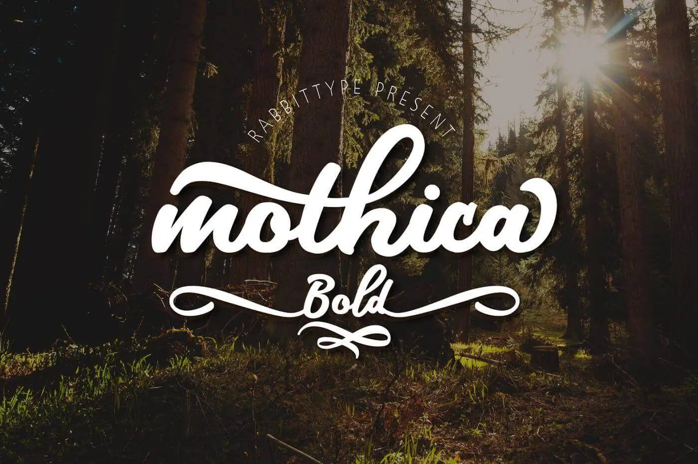 Mothica