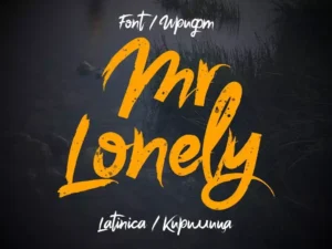 mr lonely1