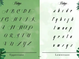 nadyya traditional display font 2