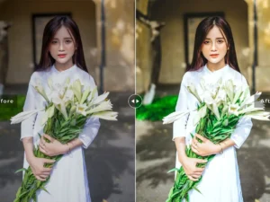 narcissus mobile desktop lightroom presets 2
