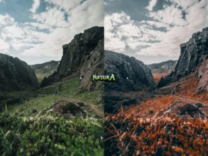 natura lightroom presets 4