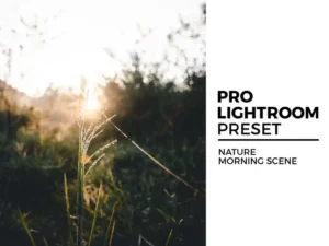 nature morning scene preset
