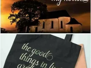 nayla modern calligraphy font