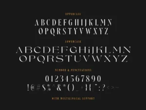 nefarious modern serif 2