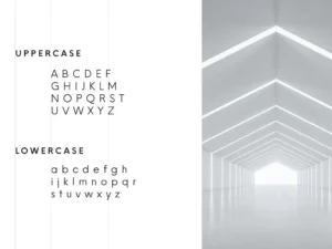 nela sans minimal geometric sans font 4