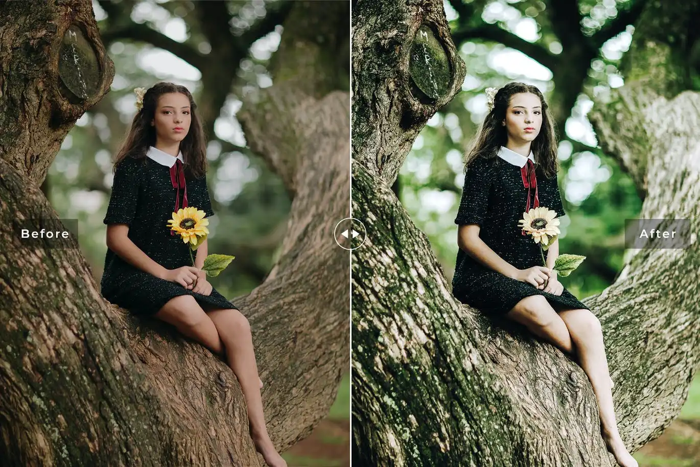 Nettle Mobile & Desktop Lightroom Presets 5 nettle mobile desktop lightroom presets 4