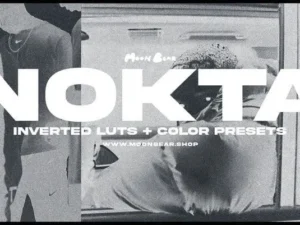 nokta inverted luts filters