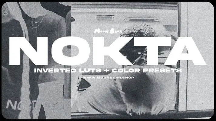 Nokta-Inverted Luts & Filters