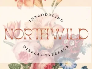 northwild font