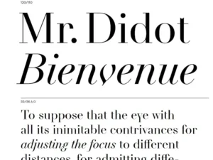 nouvelle noire didot modern font family