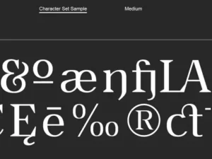 oc bartok font family c otherwherecollective extended latin 5