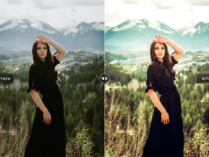 oleander mobile desktop lightroom presets 6