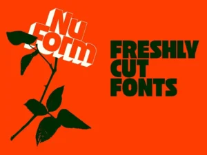 ozik font 4