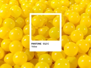 pantone color palette maker 2